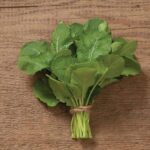 African Kale Bundle