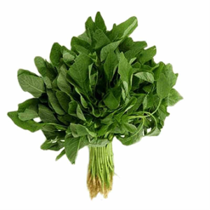 Bitter Leaf