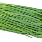 Chive Bundle