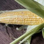 Corn thumbnail