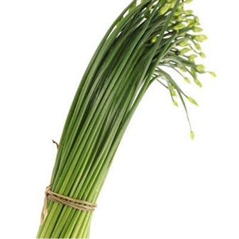 Garlic chives