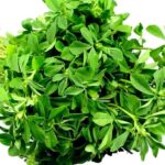 Gbure Leaves