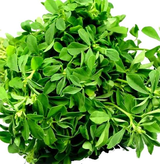 Gbure Leaves