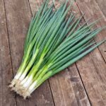 Green-Onion-white-spear-4-1