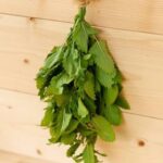 Lemon balm