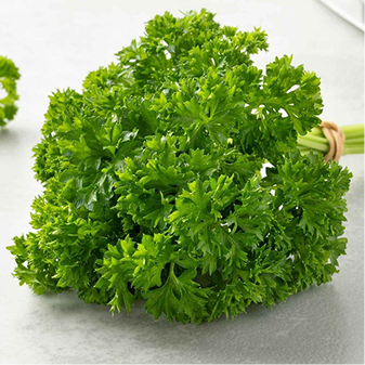 Parsley