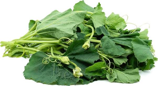 Squash Leaves