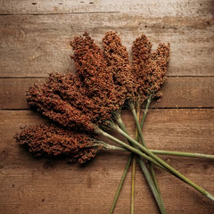 Sweet Sorghum bundle