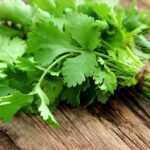 bunch-of-fresh-coriander-or-cilantro-on-a-wooden-table