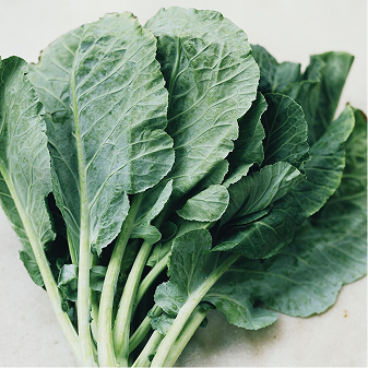 collard green