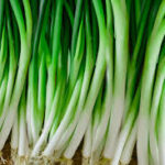 images (2) (2)
