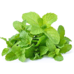 mint
