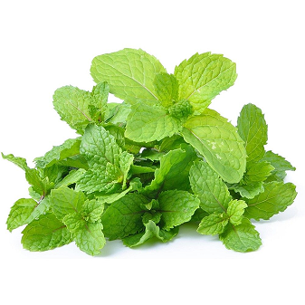mint