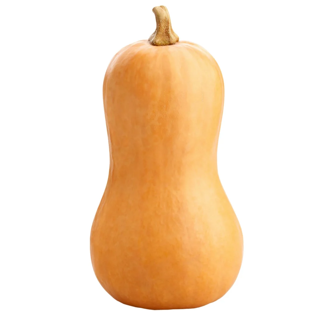squashbutt1