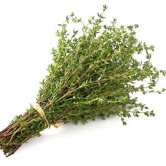 thyme