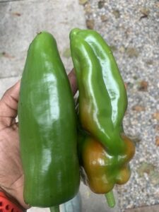 4-peppers