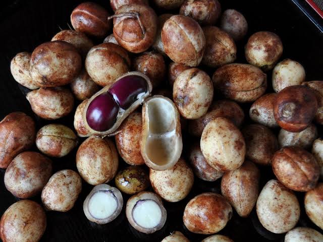 Bambara Pods