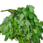 Oha leaves