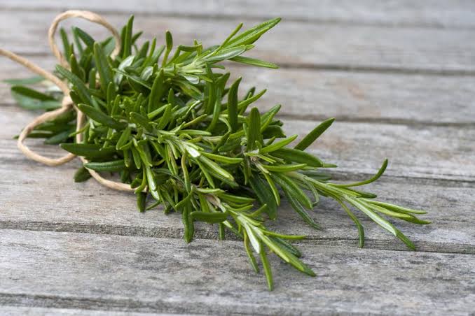 Rosemary bundle