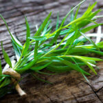 Tarragon bundle