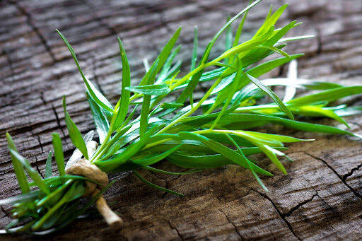 Tarragon bundle