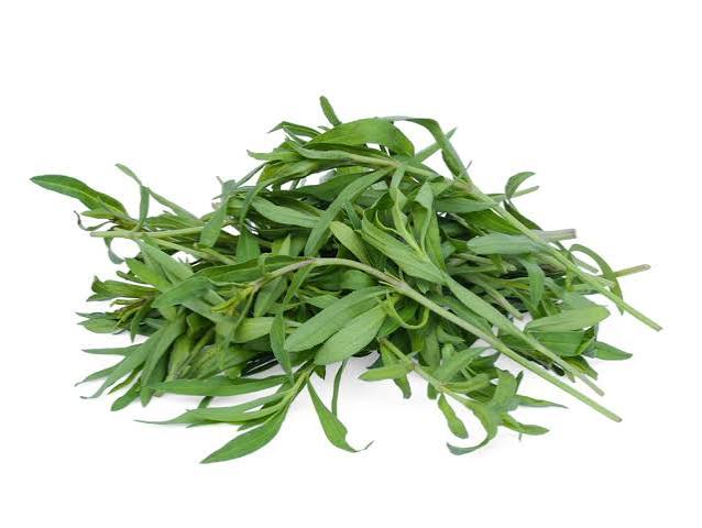 Tarragon pile