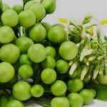 Turkey Berries