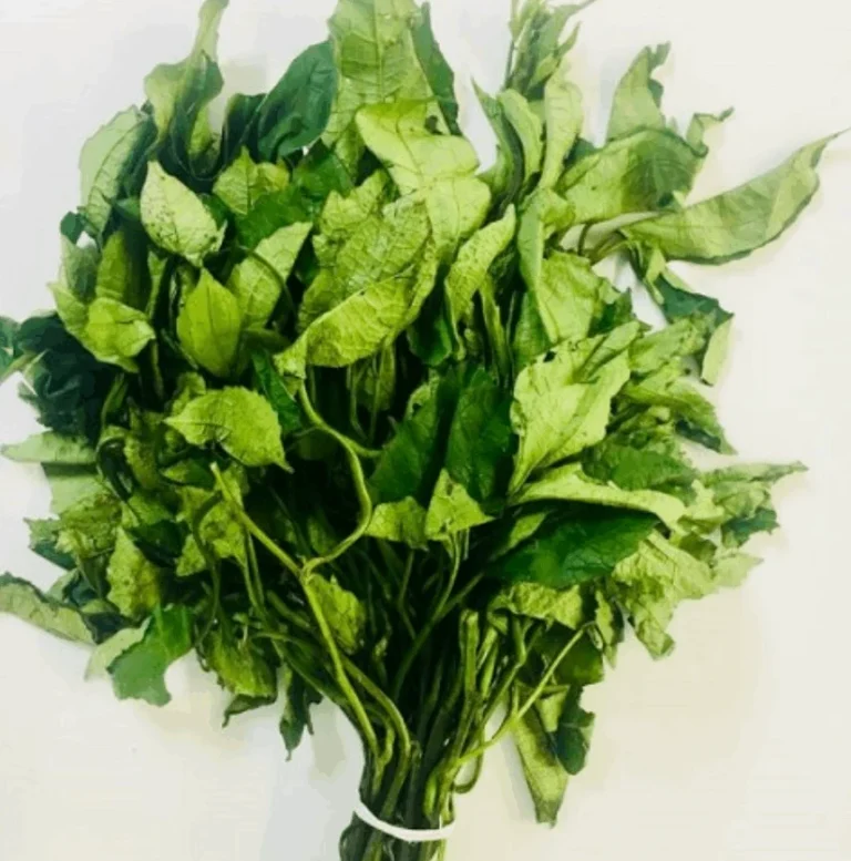 Ugu Bundle