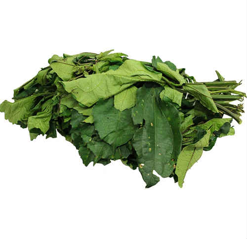 Ugu leaf pile