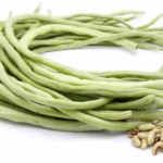 Yard Long Bean